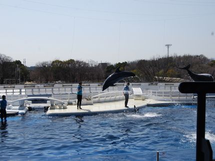 ５歳遠足