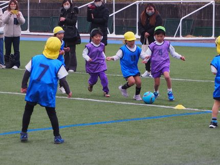 どんぐりカップ