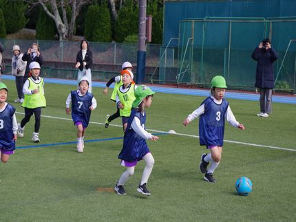 どんぐりカップ